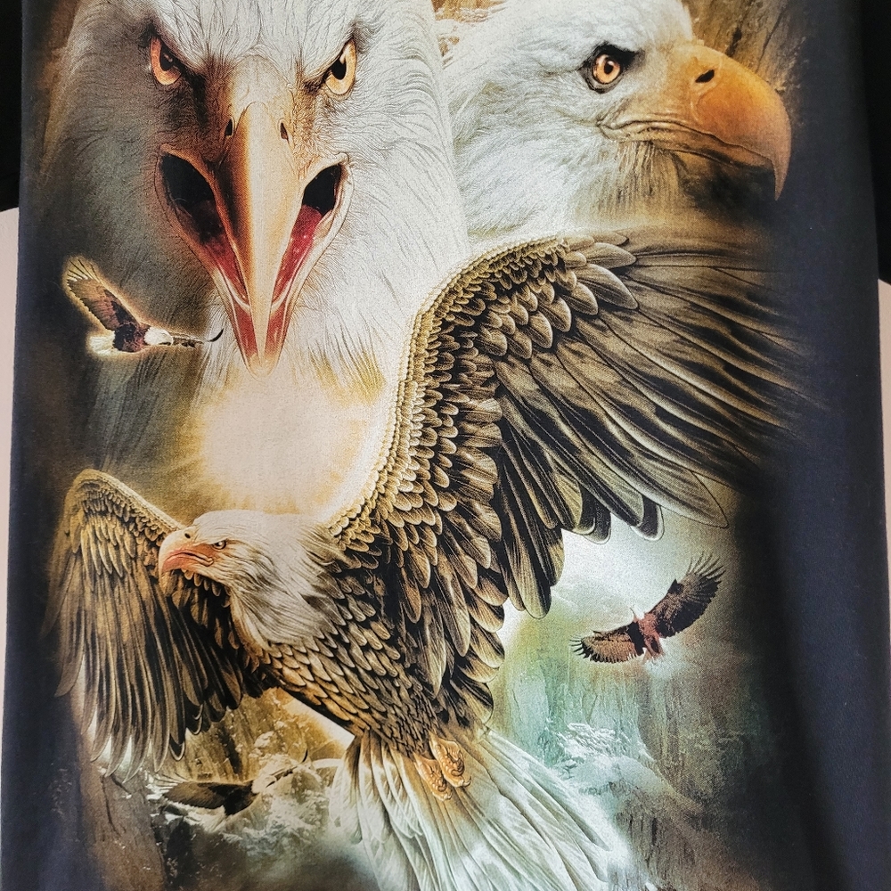 Caballo Shirt Mens Black Short Sleeve Bald Eagle Graphic Print Bird Of Prey - Picture 4 of 7